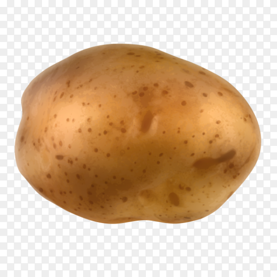 Default Avatar